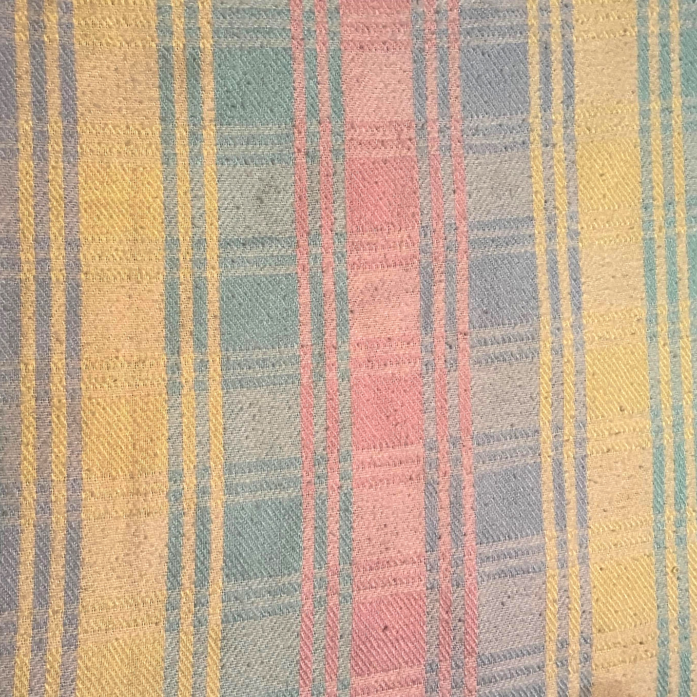 Blankey Avatar