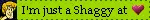 shaggyheart