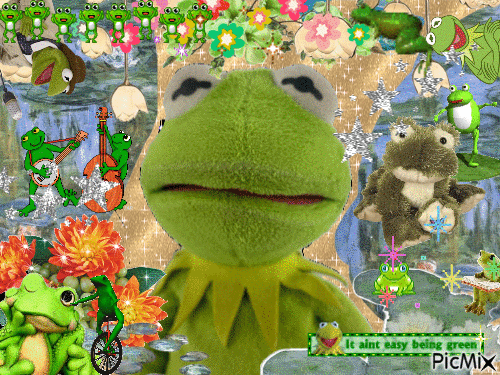 Kermit Avatar