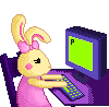 Bunny at computer