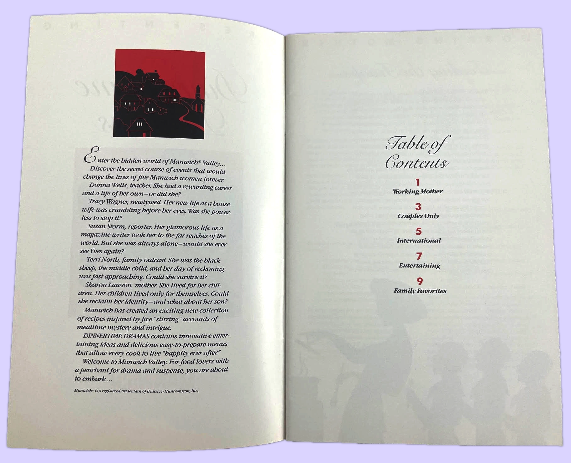 Manwich's "Dinnertime Dramas" image 2