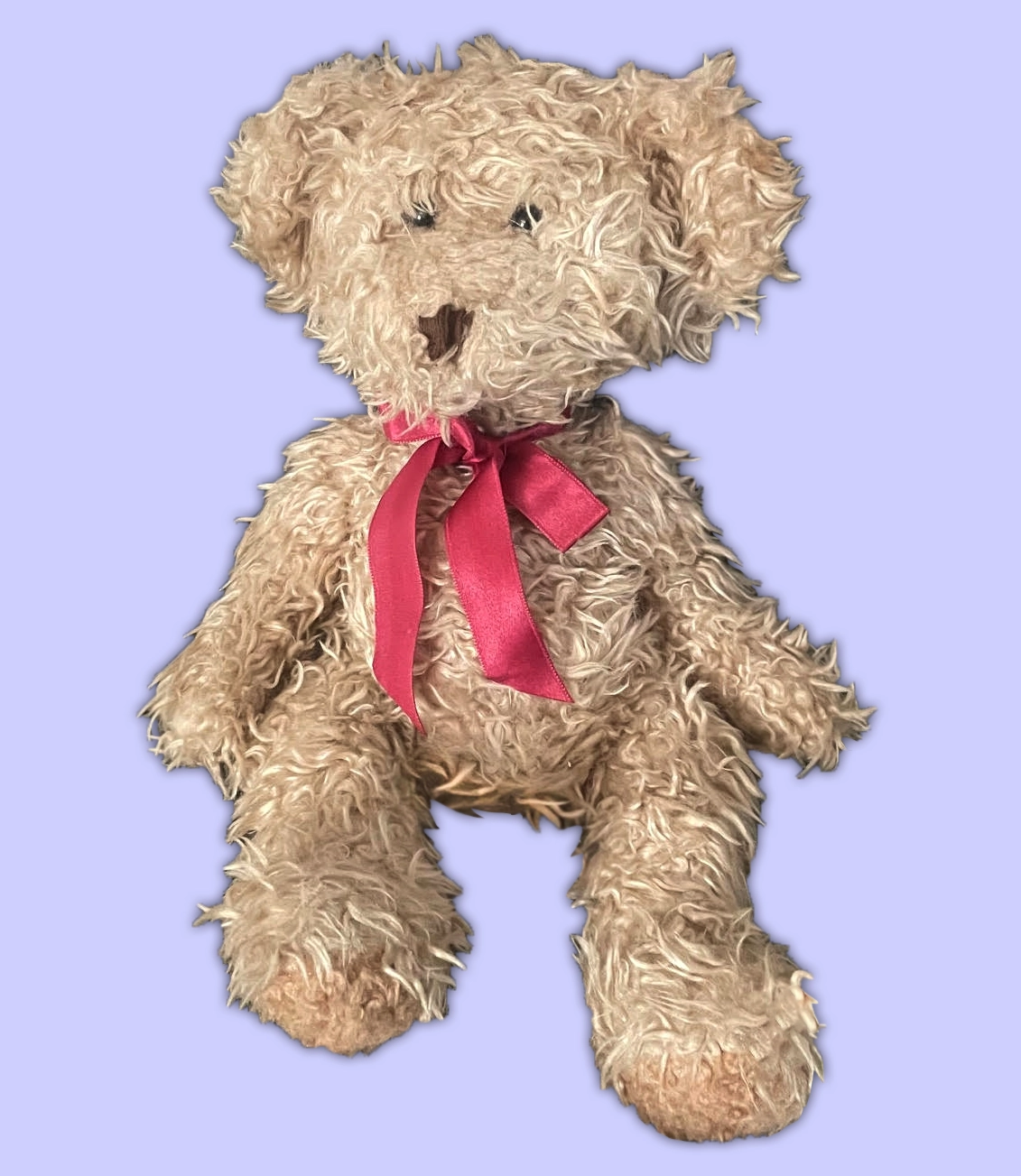 "Radcliffe" the Teddy Bear image 2