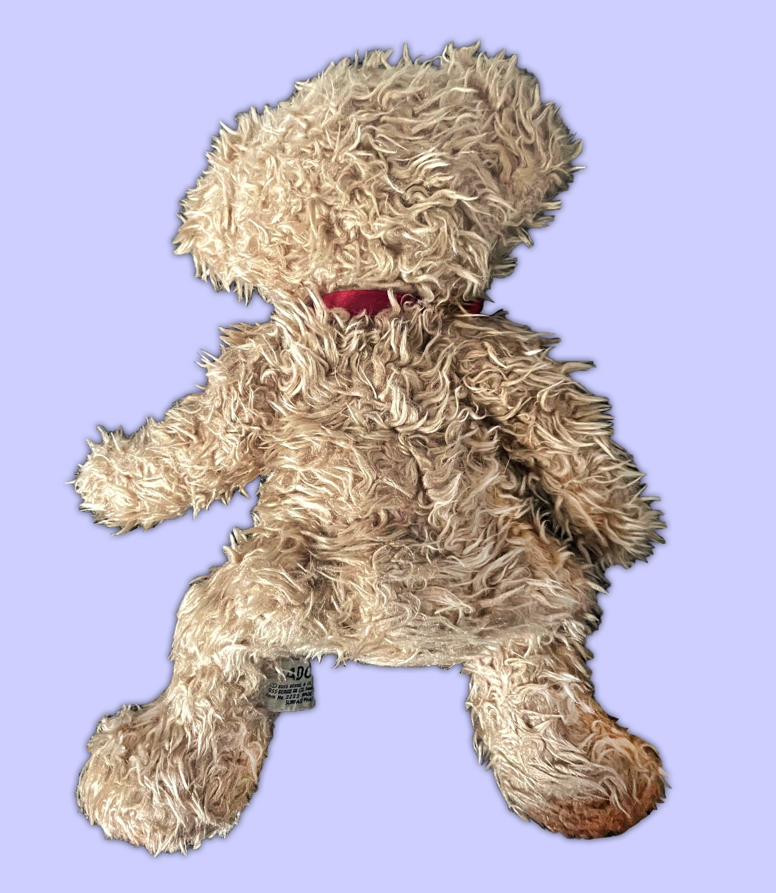 "Radcliffe" the Teddy Bear image 4