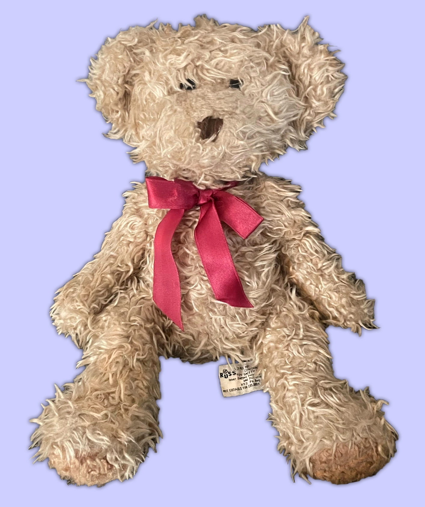 "Radcliffe" the Teddy Bear image 1