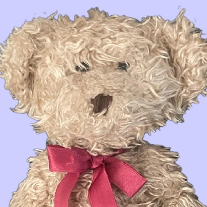 "Radcliffe" the Teddy Bear